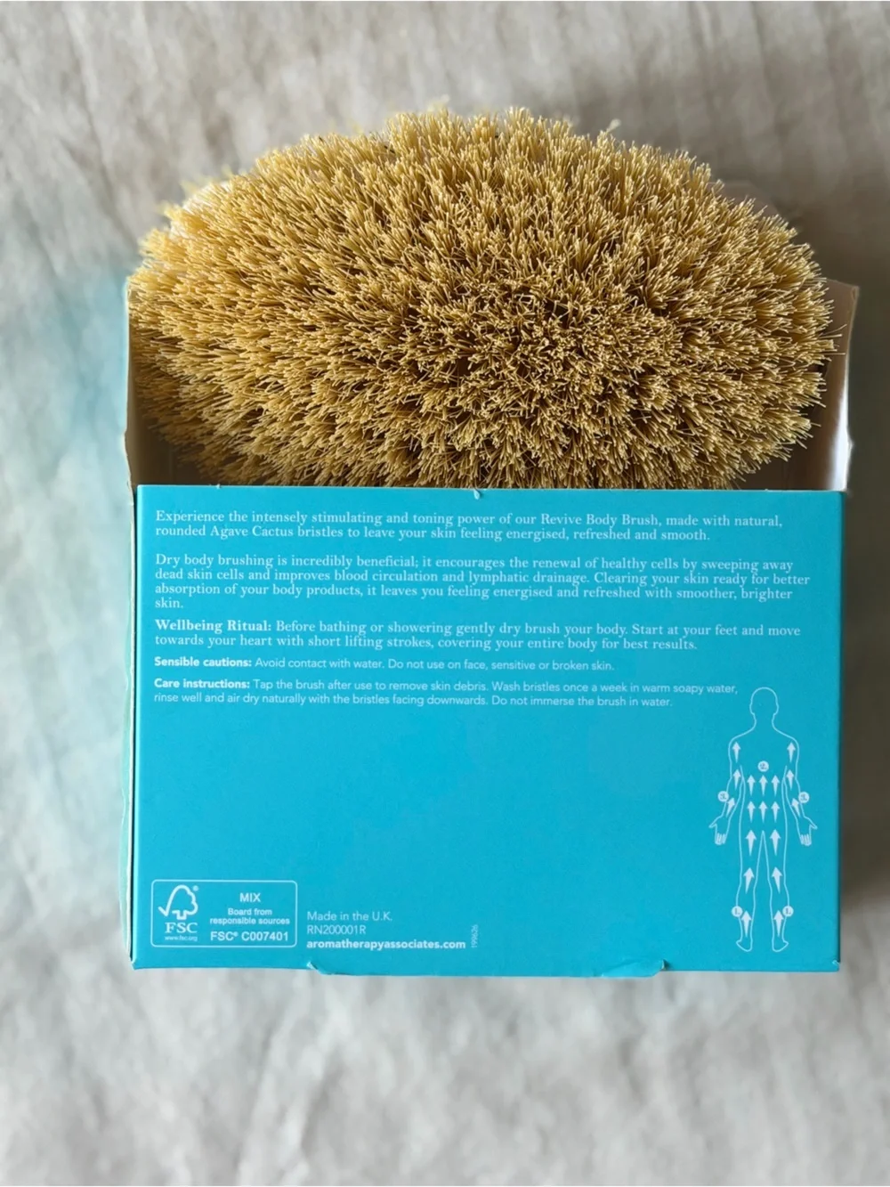 NWT Wooden Dry Brush - Cactus Bristles